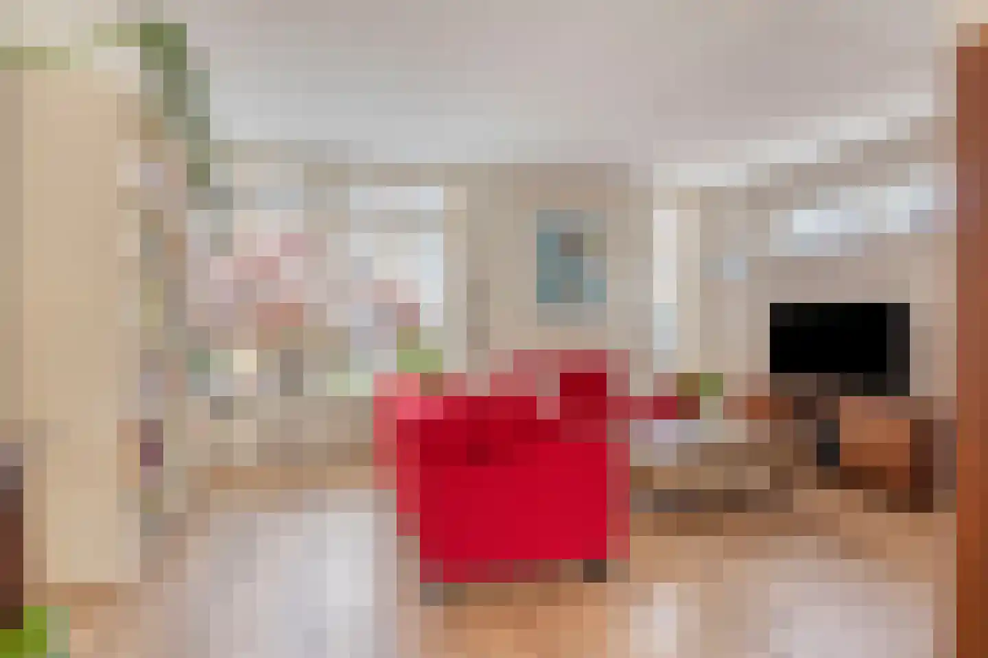 Sas van Gentstraat 65 Tilburg thumbnail 8