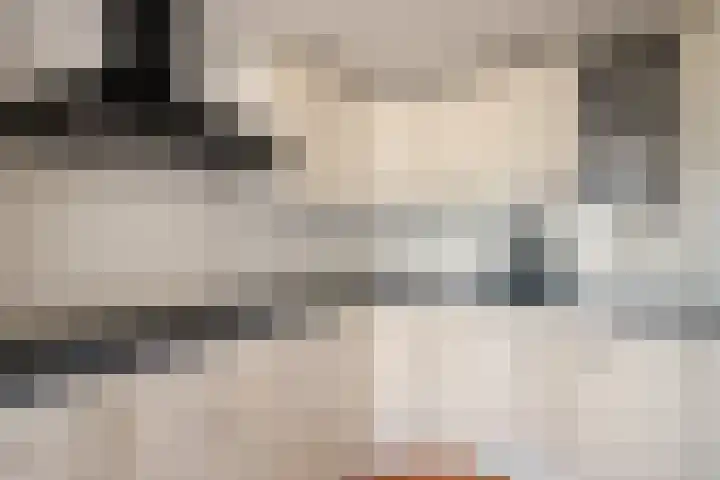 Sasdijk 2 Hulst thumbnail 12