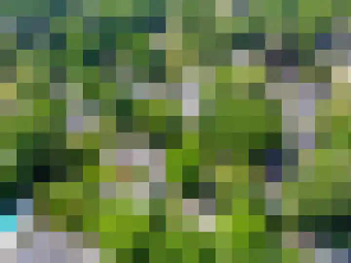 Sasdijk 2 Hulst thumbnail 13