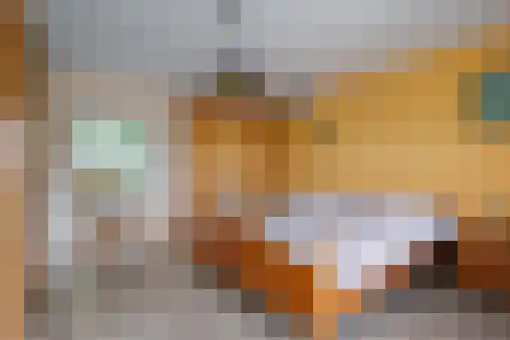 Sasdijk 2 Hulst thumbnail 17