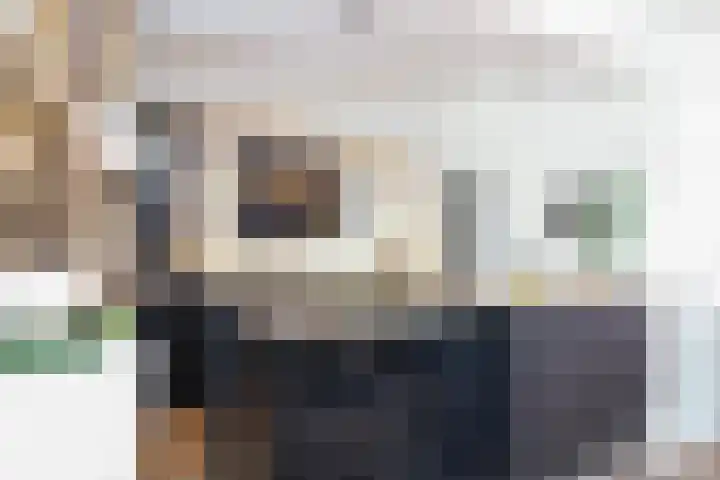 Sasdijk 2 Hulst thumbnail 18