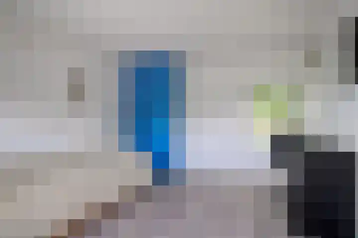 Sasdijk 2 Hulst thumbnail 19