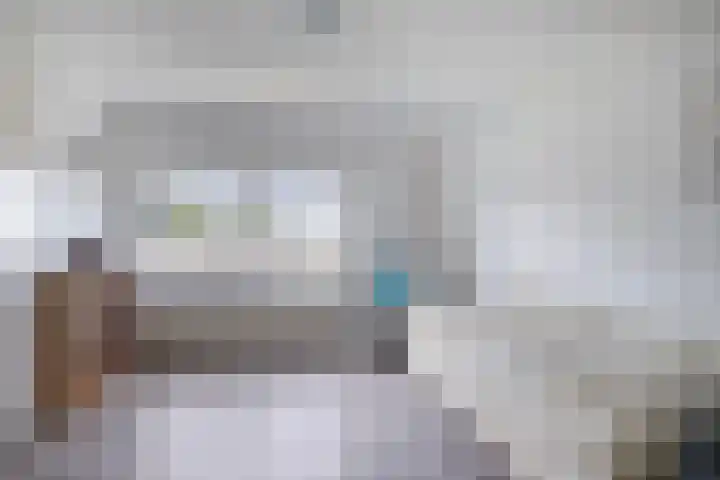 Sasdijk 2 Hulst thumbnail 20