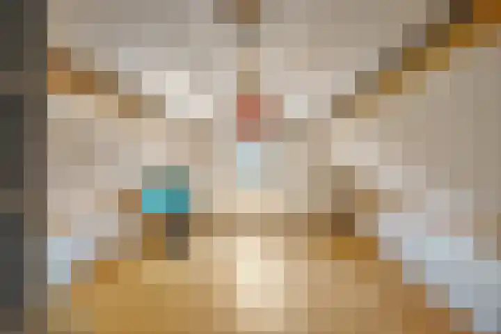 Sasdijk 2 Hulst thumbnail 23