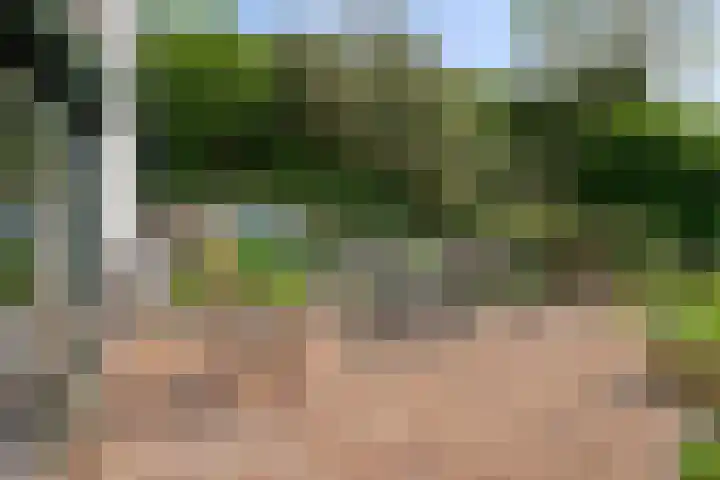 Sasdijk 2 Hulst thumbnail 26