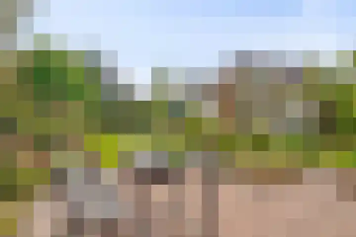 Sasdijk 2 Hulst thumbnail 27