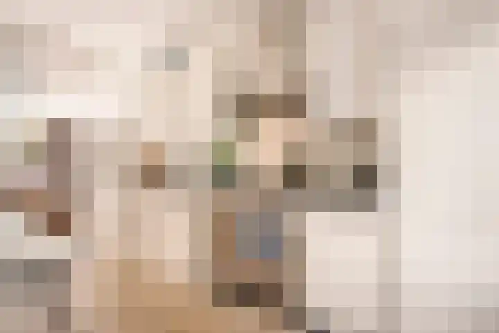 Sasdijk 2 Hulst thumbnail 31
