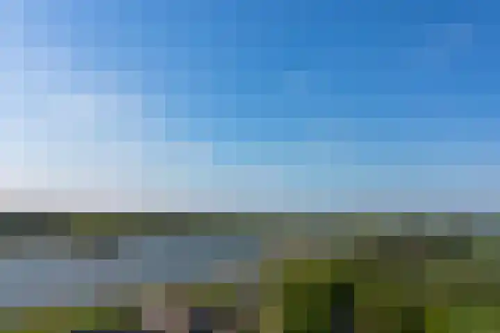 Sasdijk 2 Hulst thumbnail 32