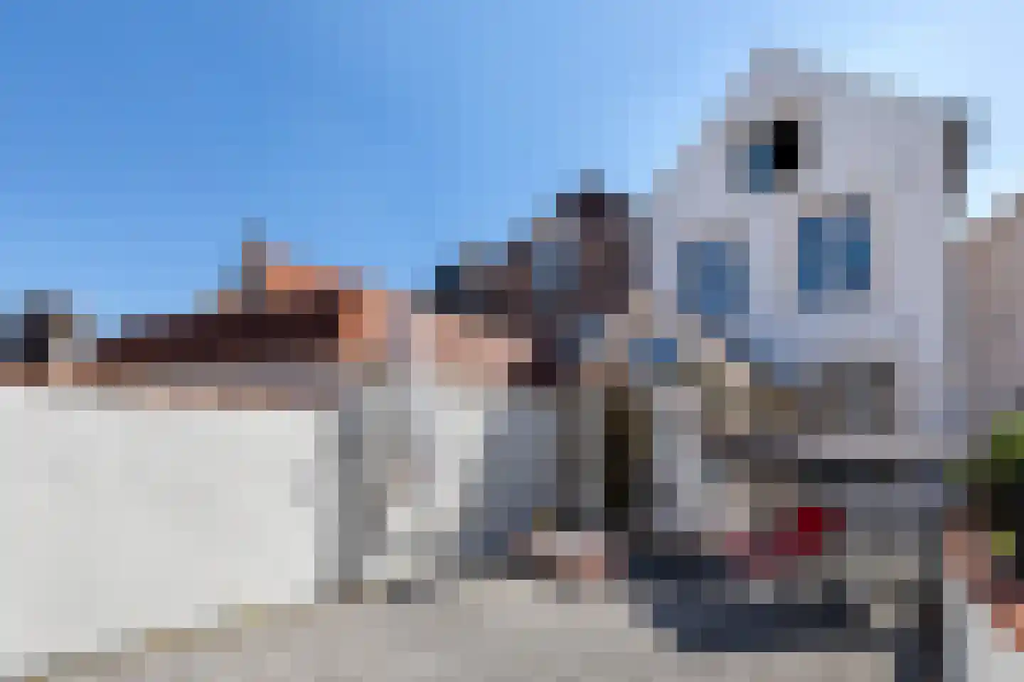 Sasdijk 2 Hulst thumbnail 33