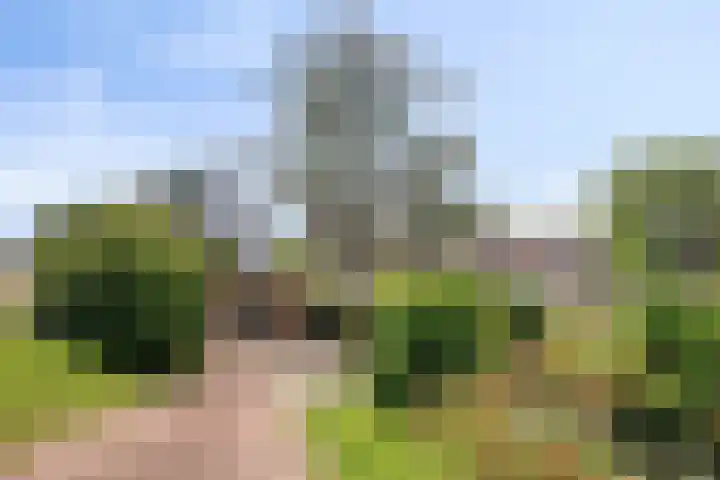 Sasdijk 2 Hulst thumbnail 34
