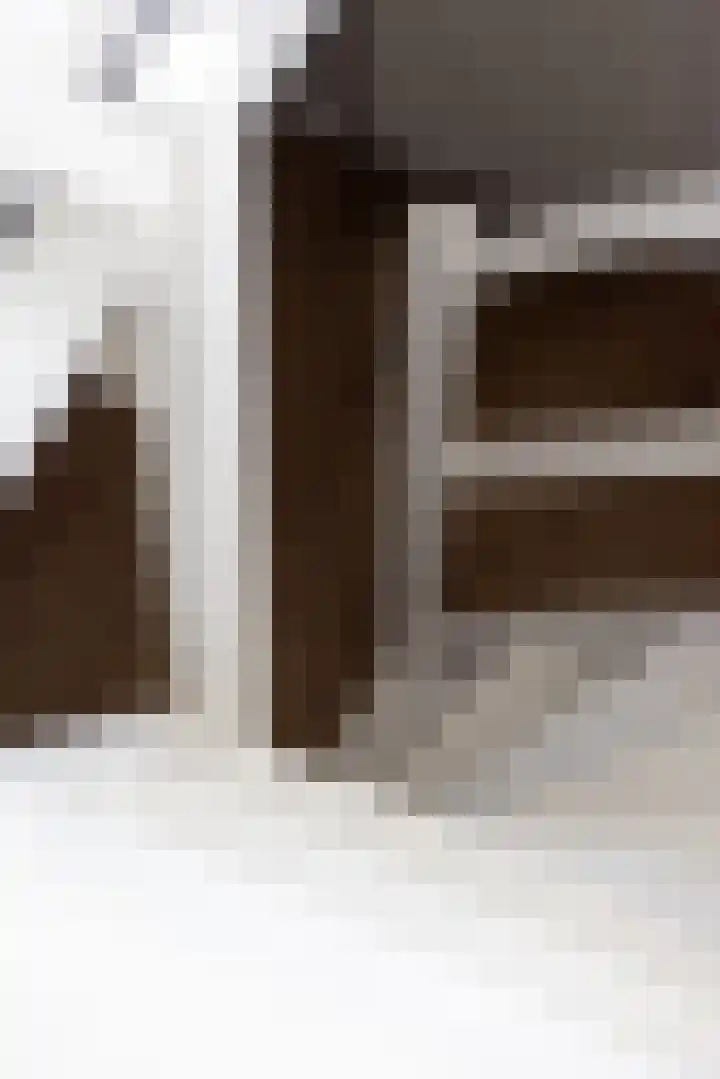 Sasdijk 2 Hulst thumbnail 38