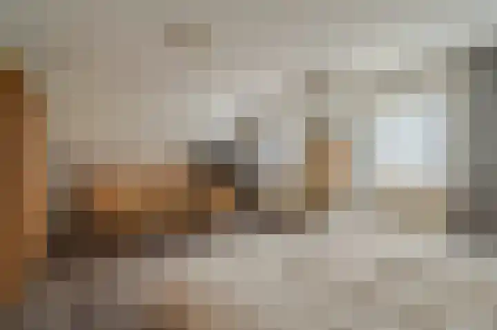 Sasdijk 2 Hulst thumbnail 5