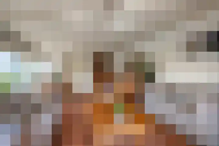 Sasdijk 2 Hulst thumbnail 8