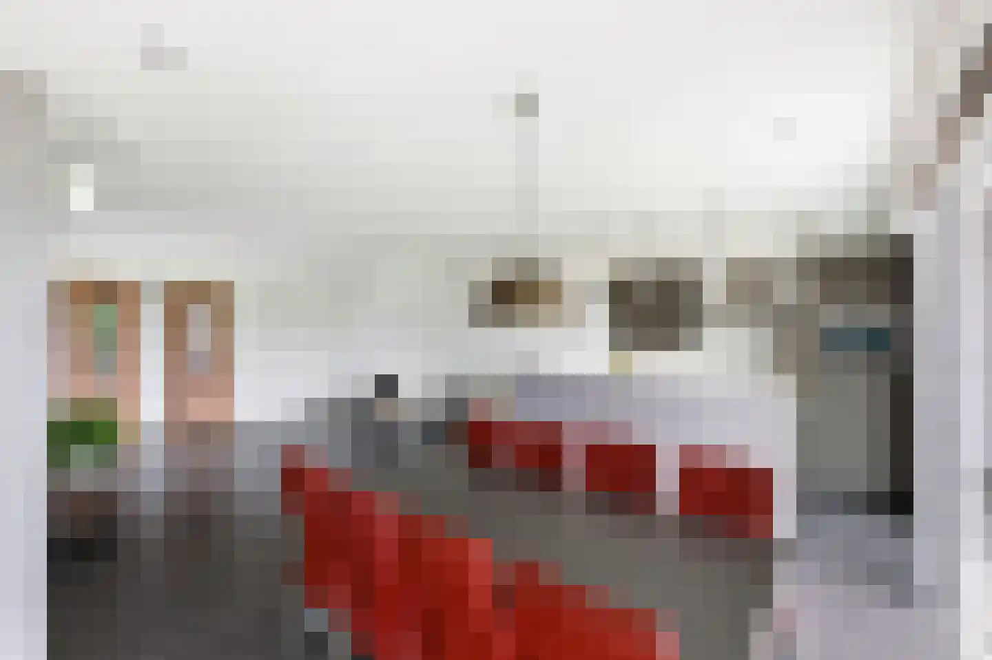 Sasdijk 21 Hulst thumbnail 20