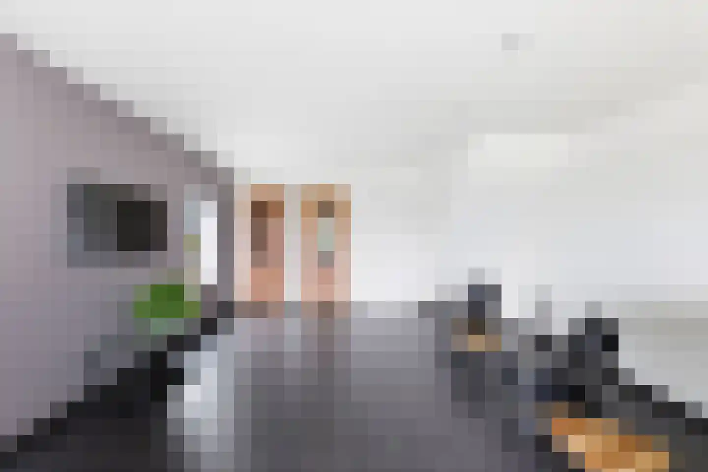 Sasdijk 21 Hulst thumbnail 21