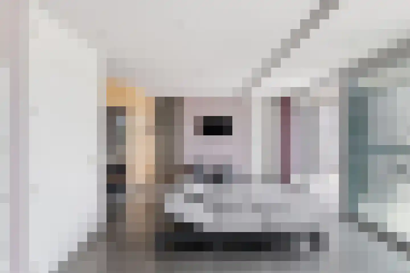 Sasdijk 21 Hulst thumbnail 33
