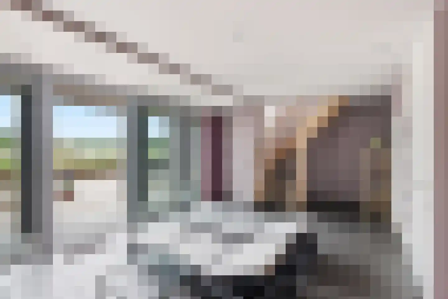 Sasdijk 21 Hulst thumbnail 35