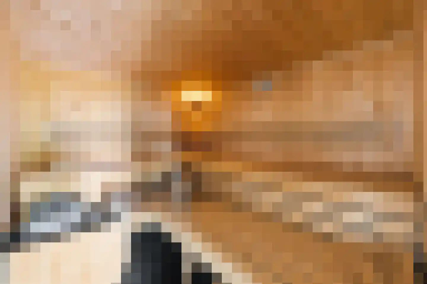 Sasdijk 21 Hulst thumbnail 37