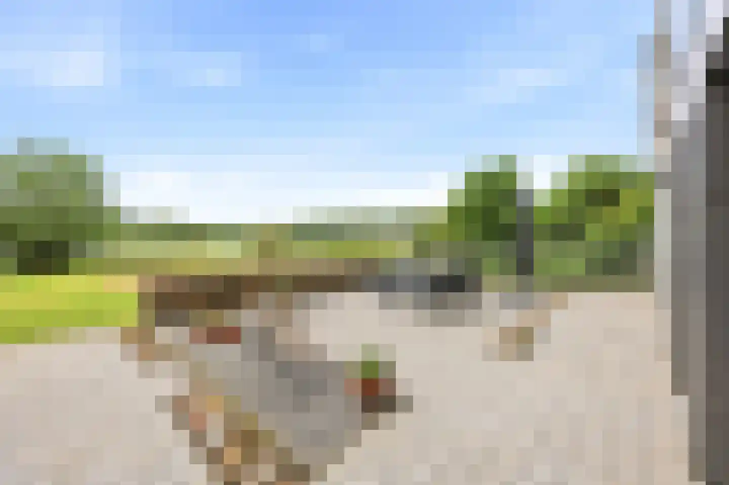 Sasdijk 21 Hulst thumbnail 39