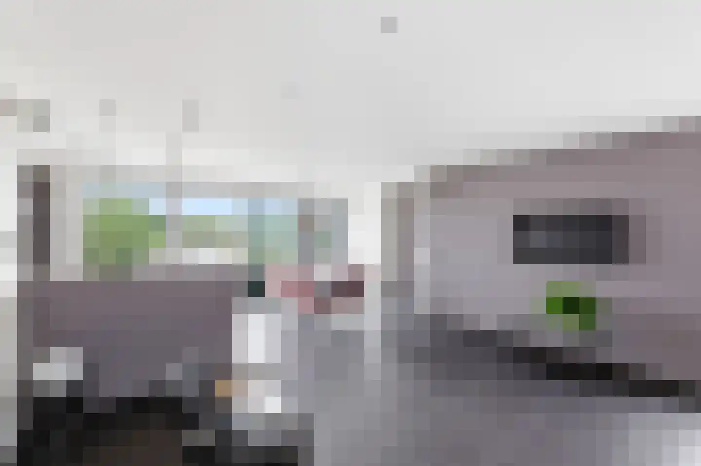 Sasdijk 21 Hulst thumbnail 4