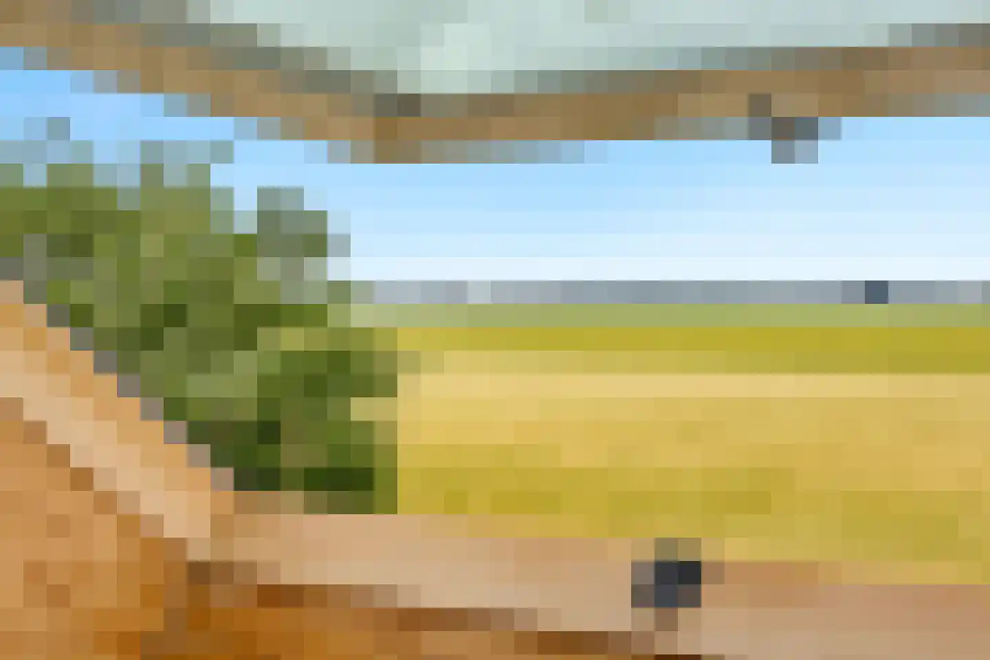 Sasdijk 21 Hulst thumbnail 44