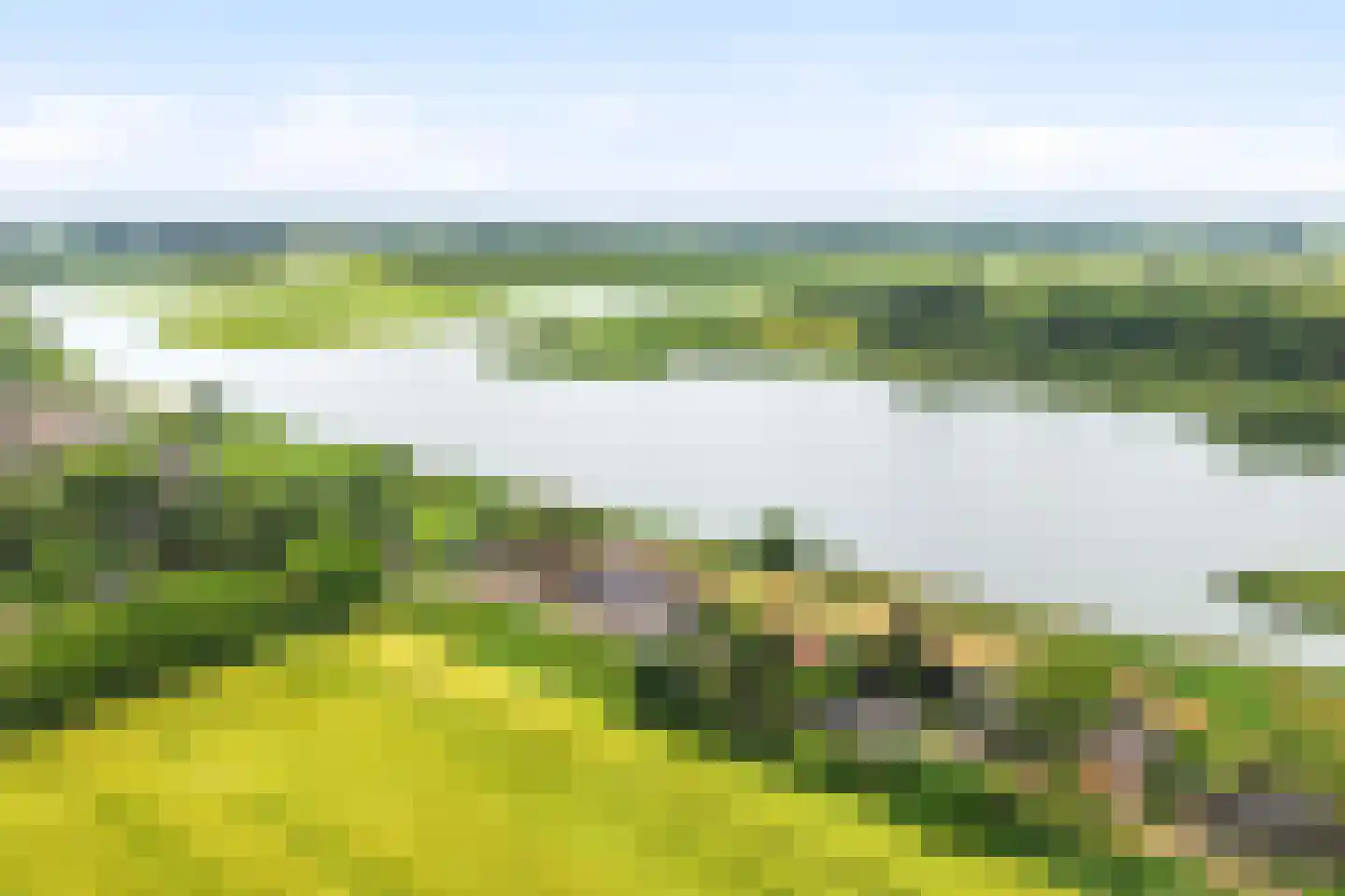 Sasdijk 21 Hulst thumbnail 6