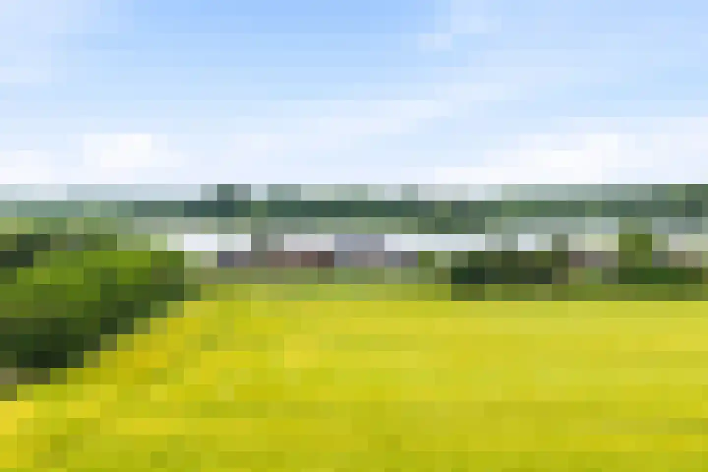 Sasdijk 21 Hulst thumbnail 61