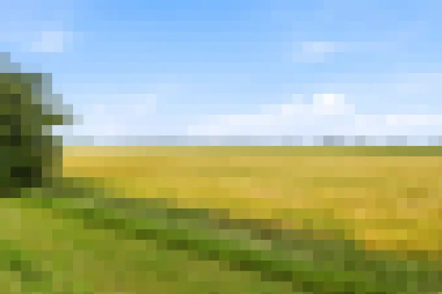 Sasdijk 21 Hulst thumbnail 9