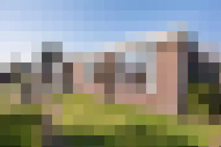 Sasdijk 31 Hulst thumbnail 15