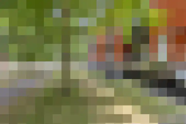 Sasdijk 31 Hulst thumbnail 16