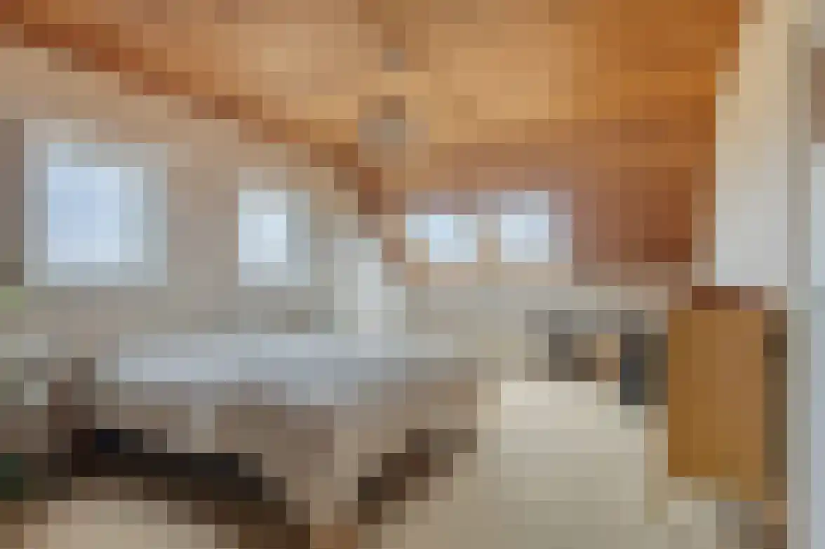 Sasdijk 31 Hulst thumbnail 26