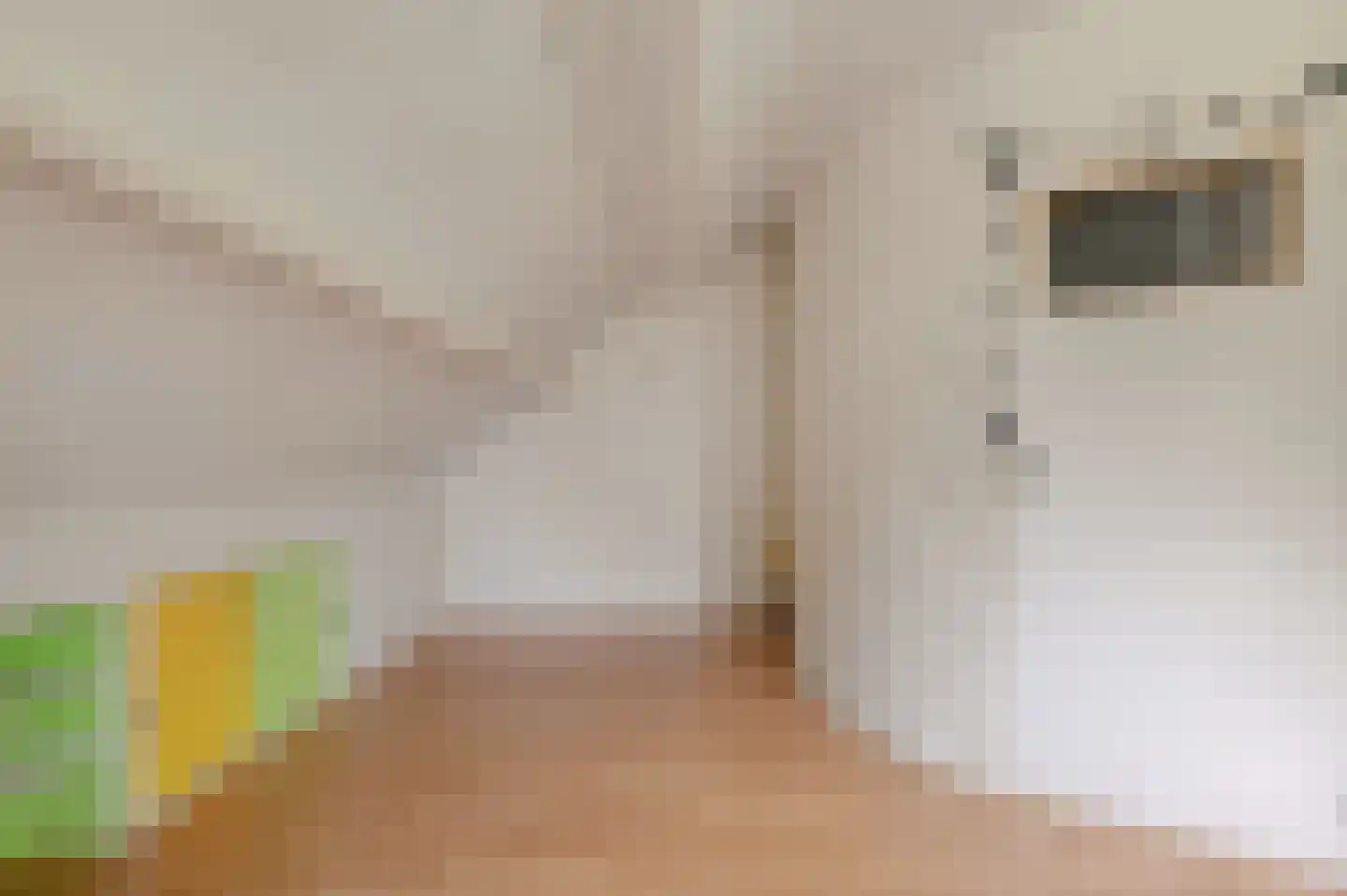 Sasdijk 31 Hulst thumbnail 33