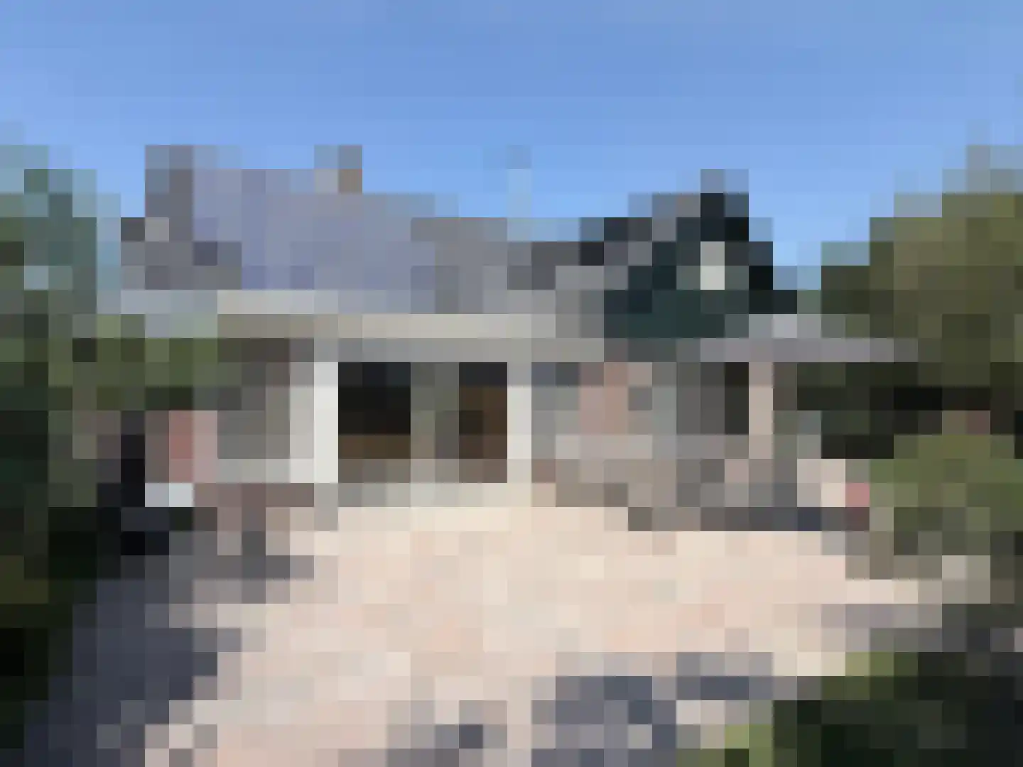 Sasdijk 31 Hulst thumbnail 5