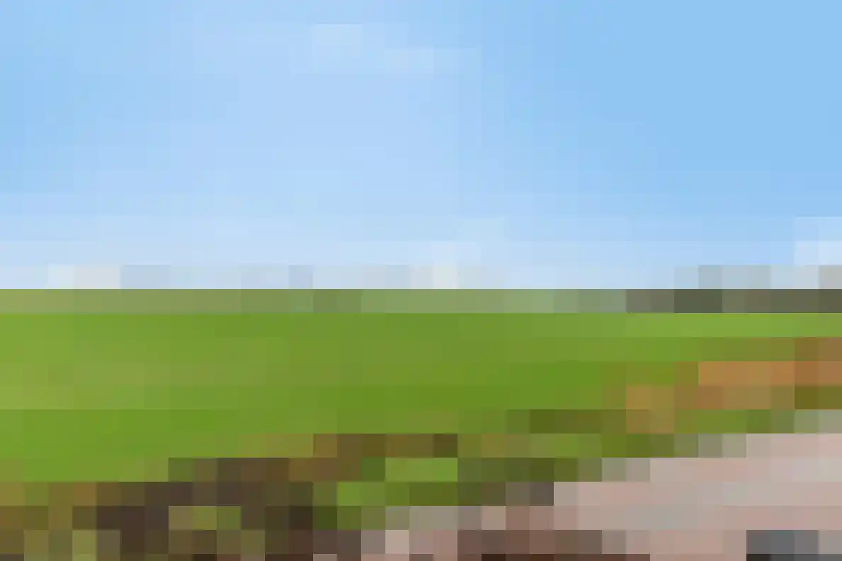Sasdijk 31 Hulst thumbnail 5