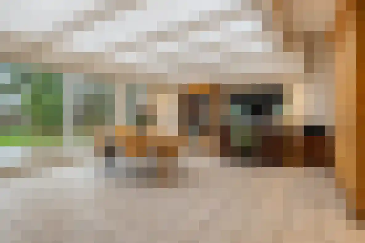 Sasdijk 31 Hulst thumbnail 7