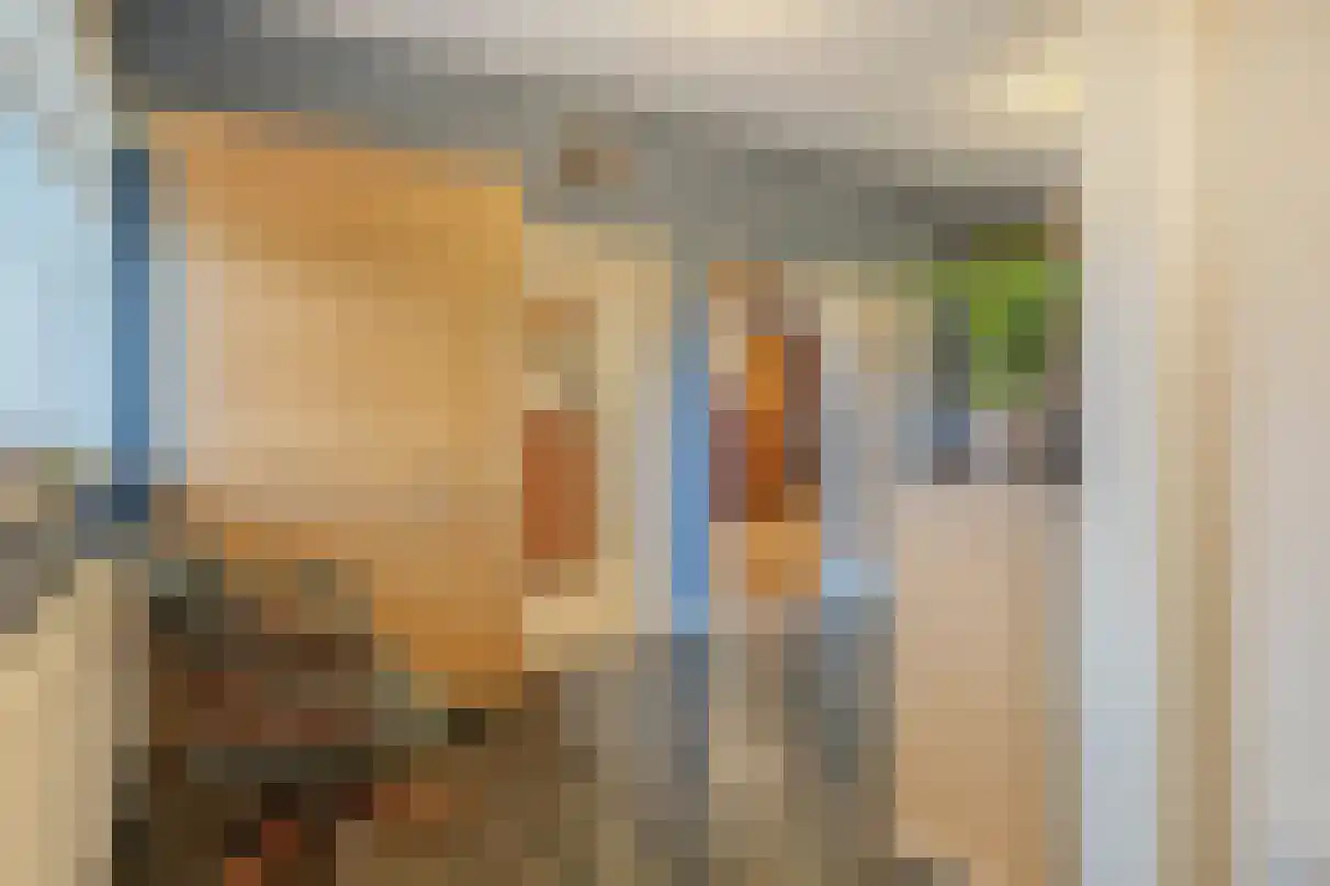 Sasdijk 31 Hulst thumbnail 7