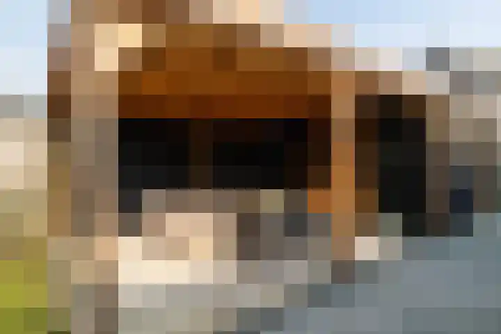 Sasdijk 62 Werkendam thumbnail 26