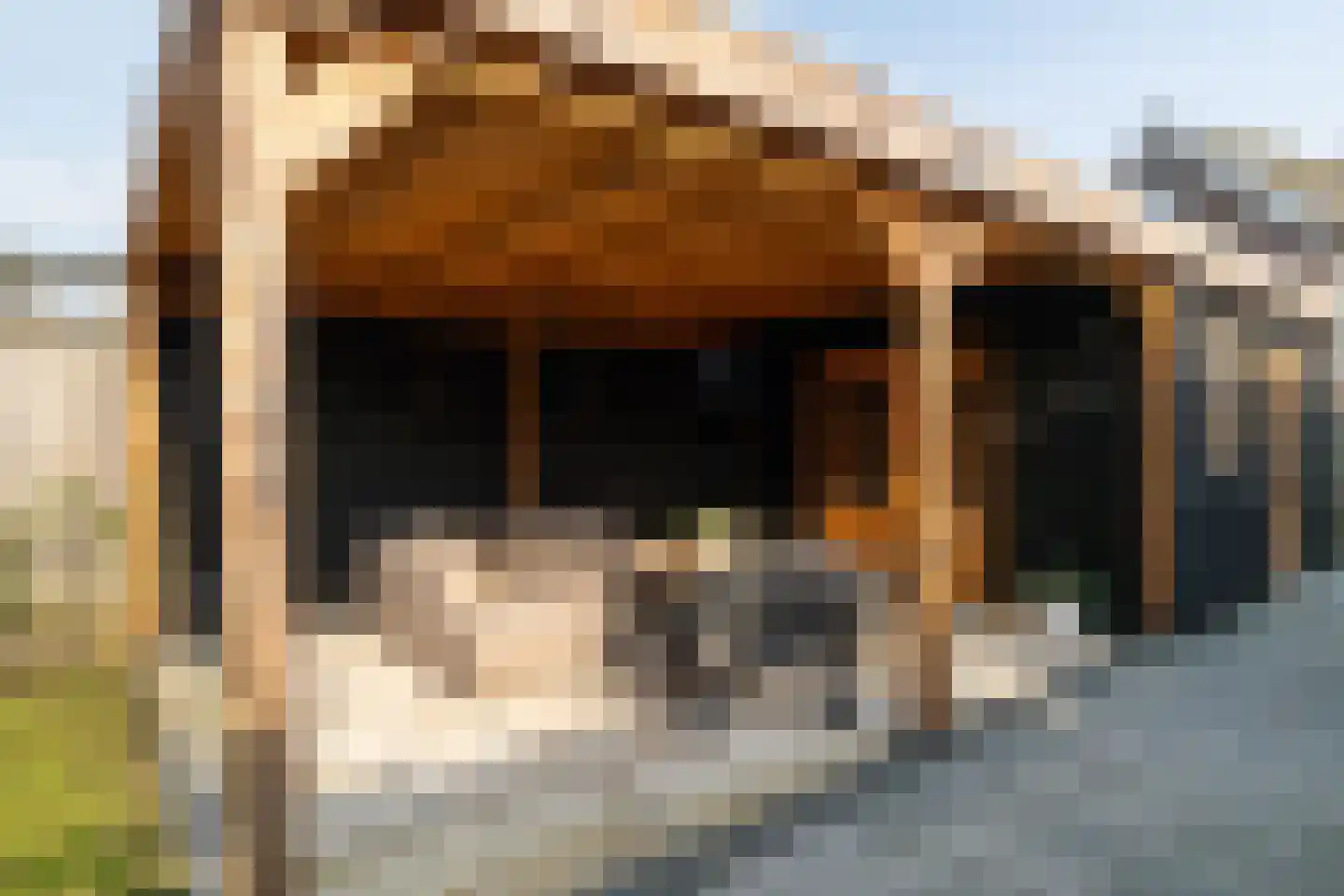 Sasdijk 62 Werkendam thumbnail 26