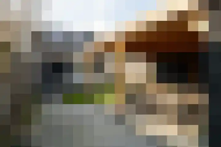 Sasdijk 62 Werkendam thumbnail 28