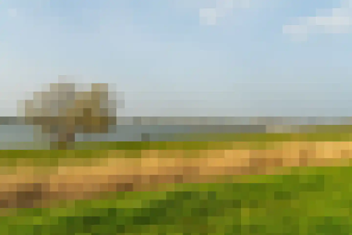 Sasdijk 62 Werkendam thumbnail 5