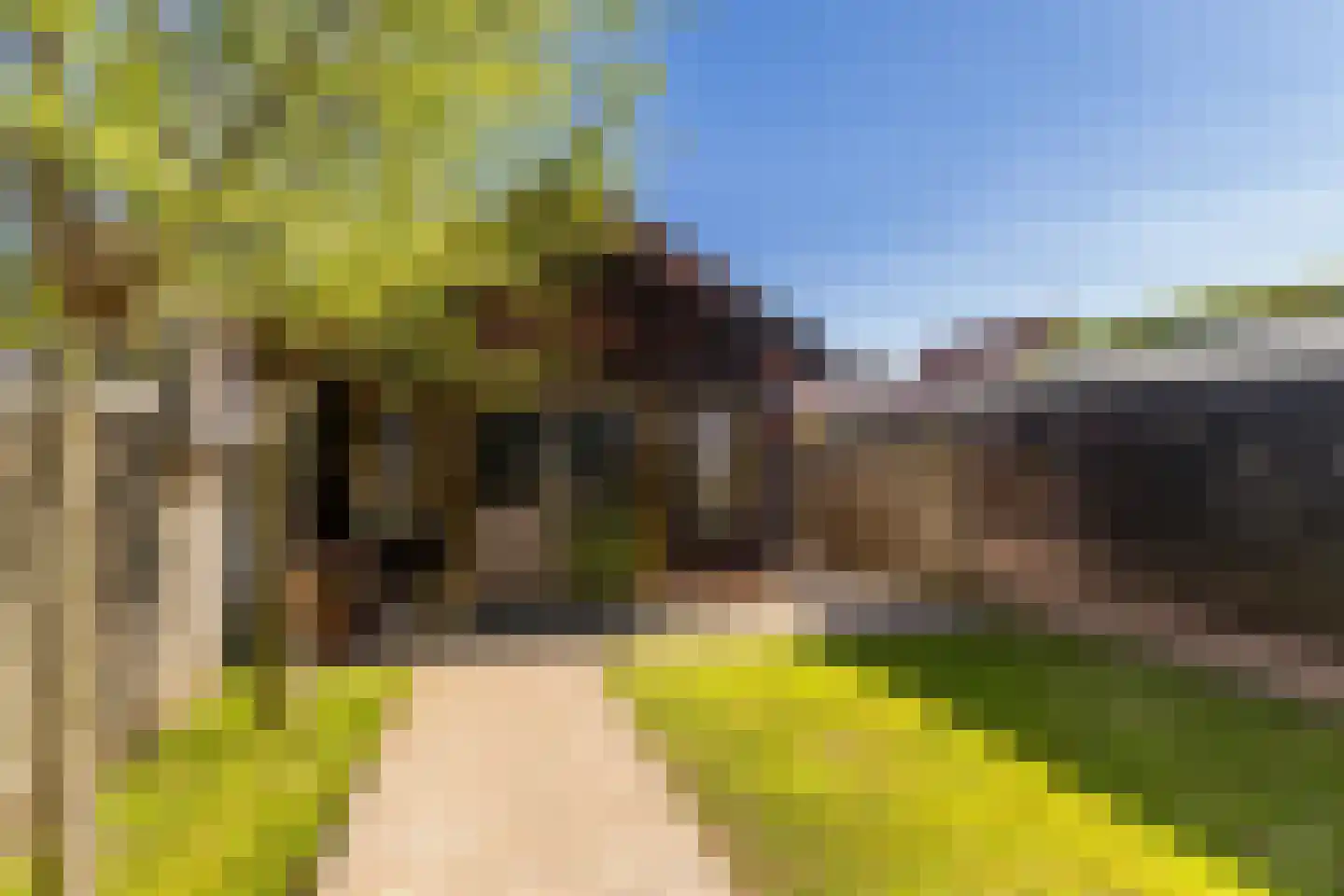 Sasdijk 63 Werkendam thumbnail 30