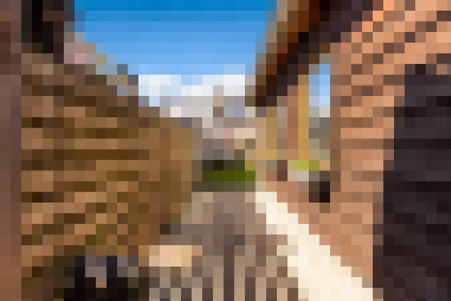 Sasdijk 63 Werkendam thumbnail 32