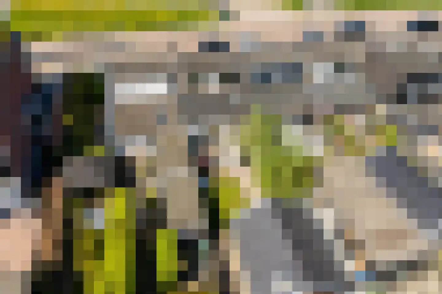 Sasdijk 63 Werkendam thumbnail 33