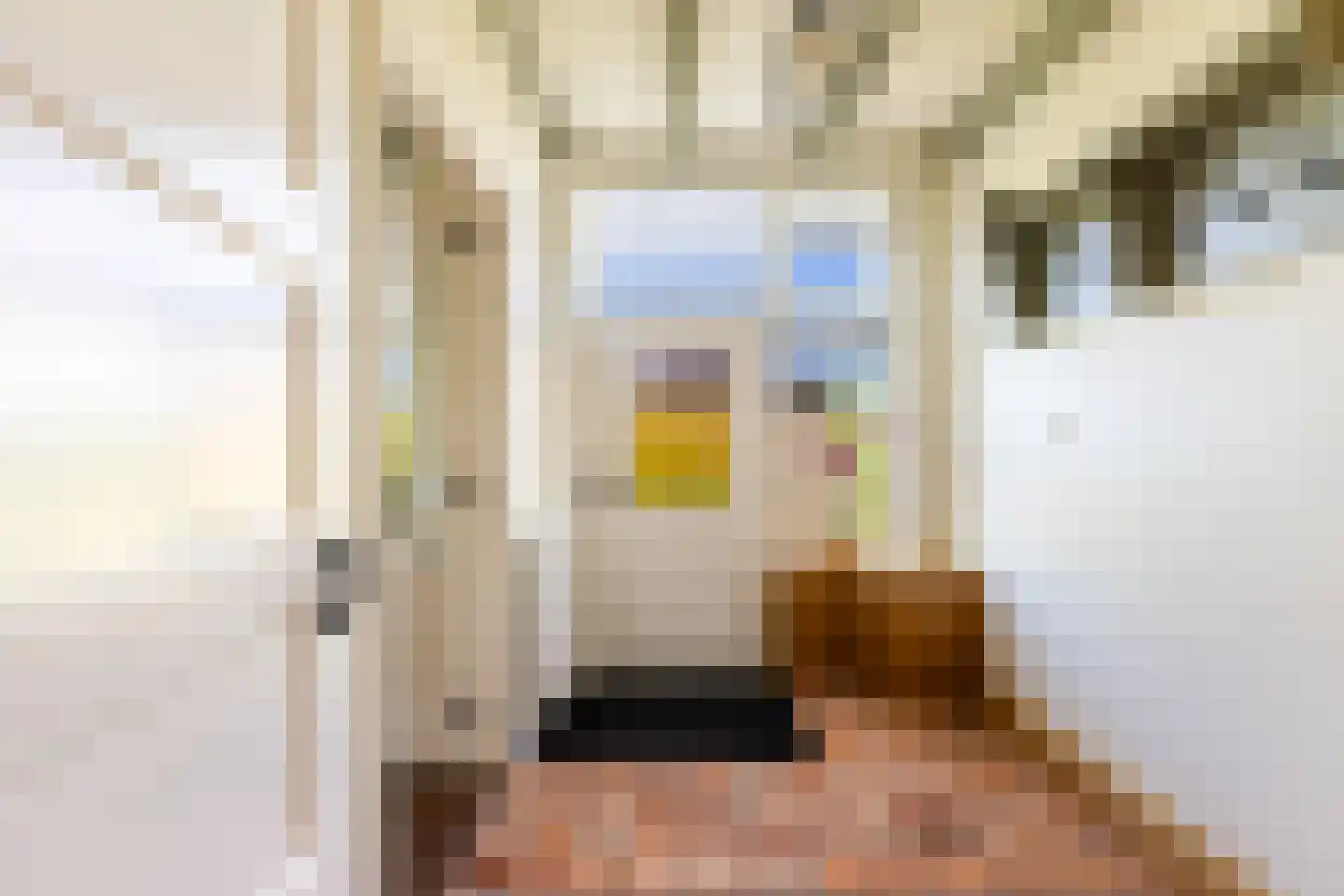 Sasdijk 63 Werkendam thumbnail 6