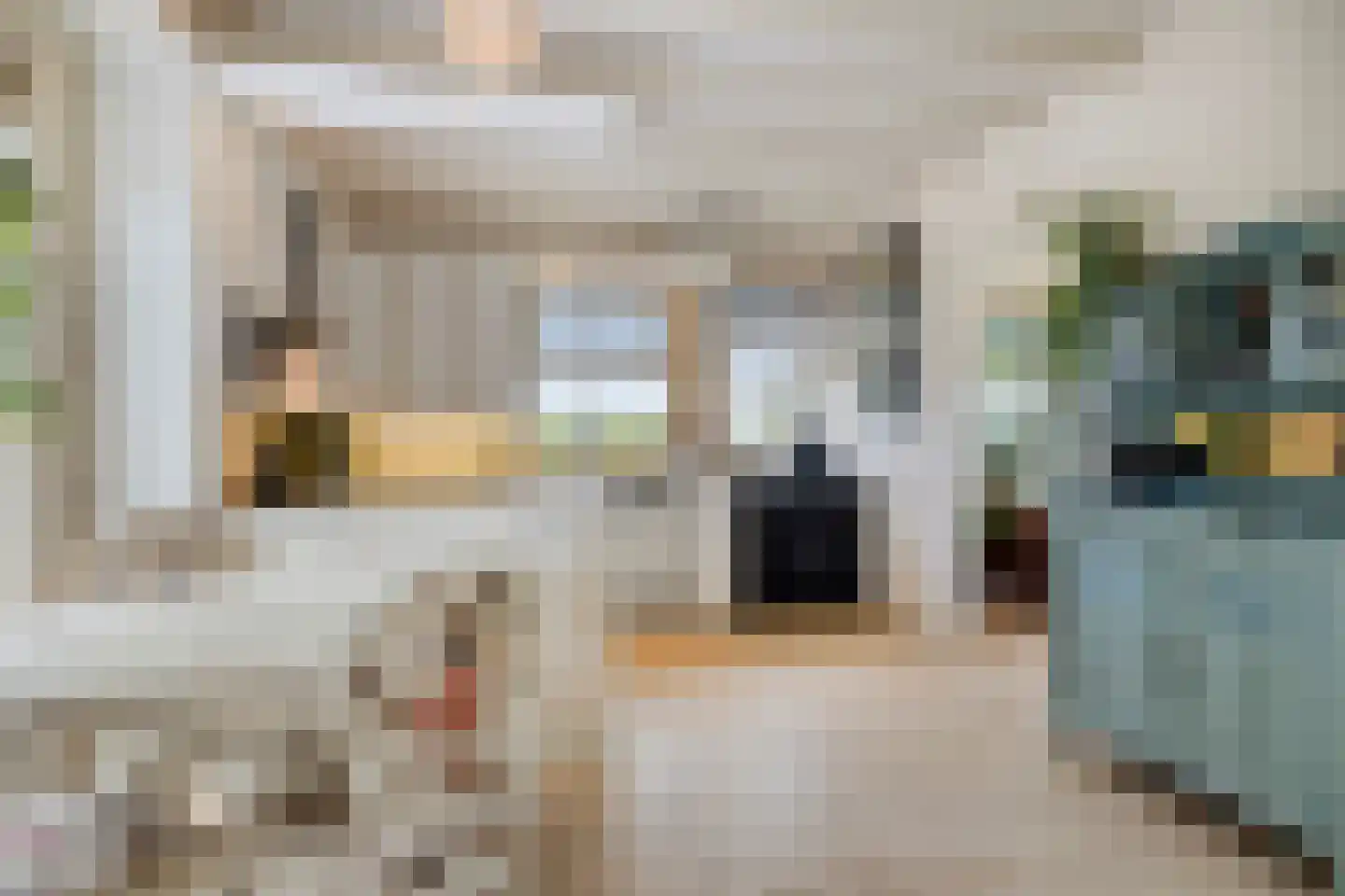 Sasdijk 8 Dinteloord thumbnail 10