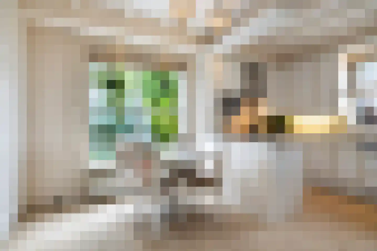 Sasdijk 8 Dinteloord thumbnail 11