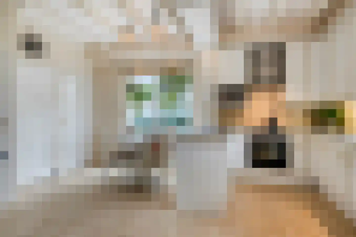 Sasdijk 8 Dinteloord thumbnail 12