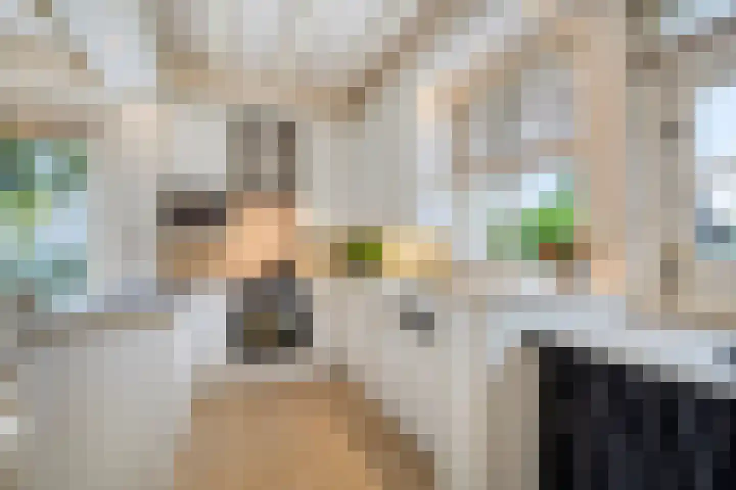 Sasdijk 8 Dinteloord thumbnail 14