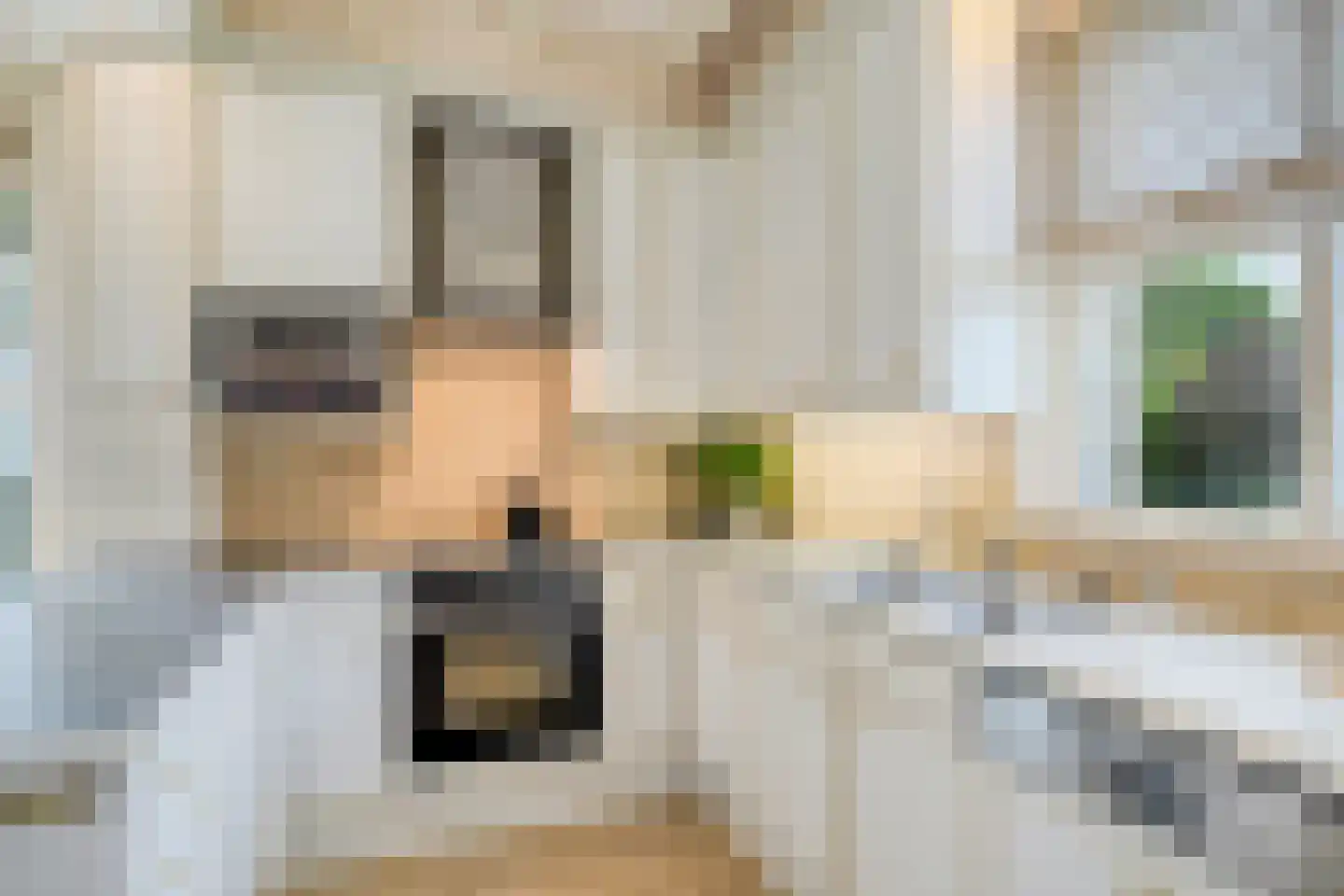 Sasdijk 8 Dinteloord thumbnail 15