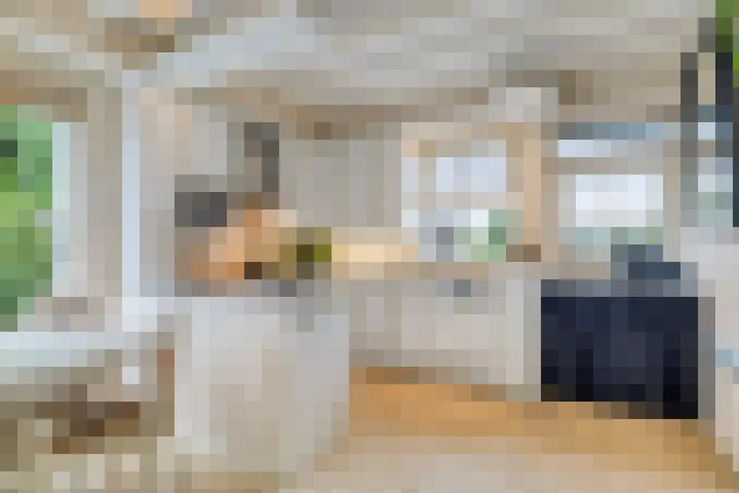 Sasdijk 8 Dinteloord thumbnail 16